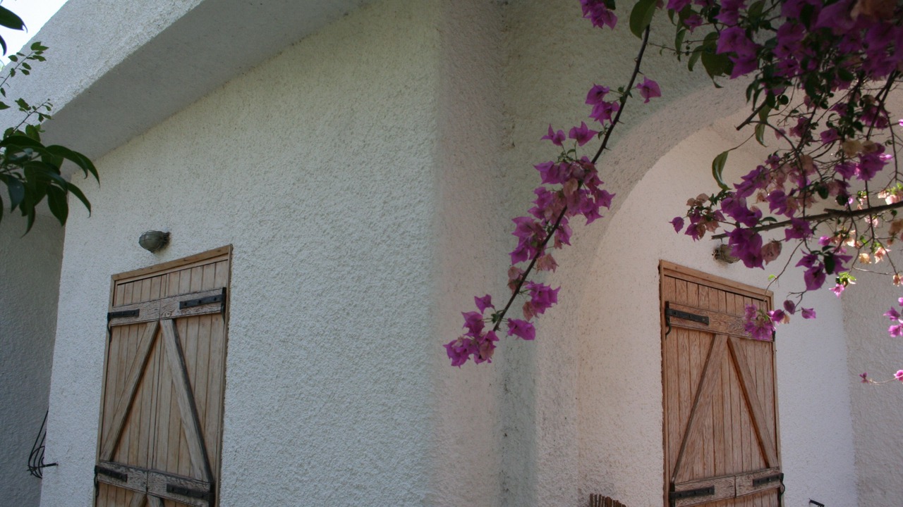 Photo of Outdoor in Nea Makri