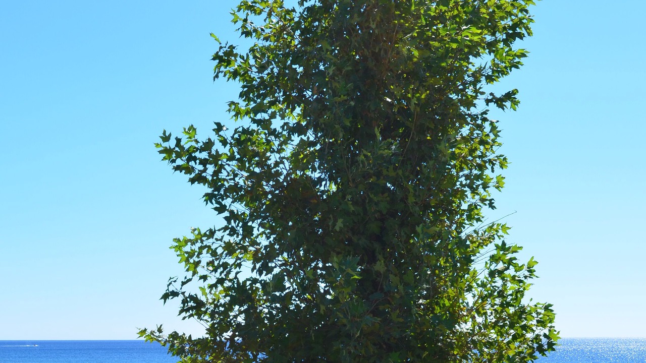 Photo of Outdoor in Kiotari