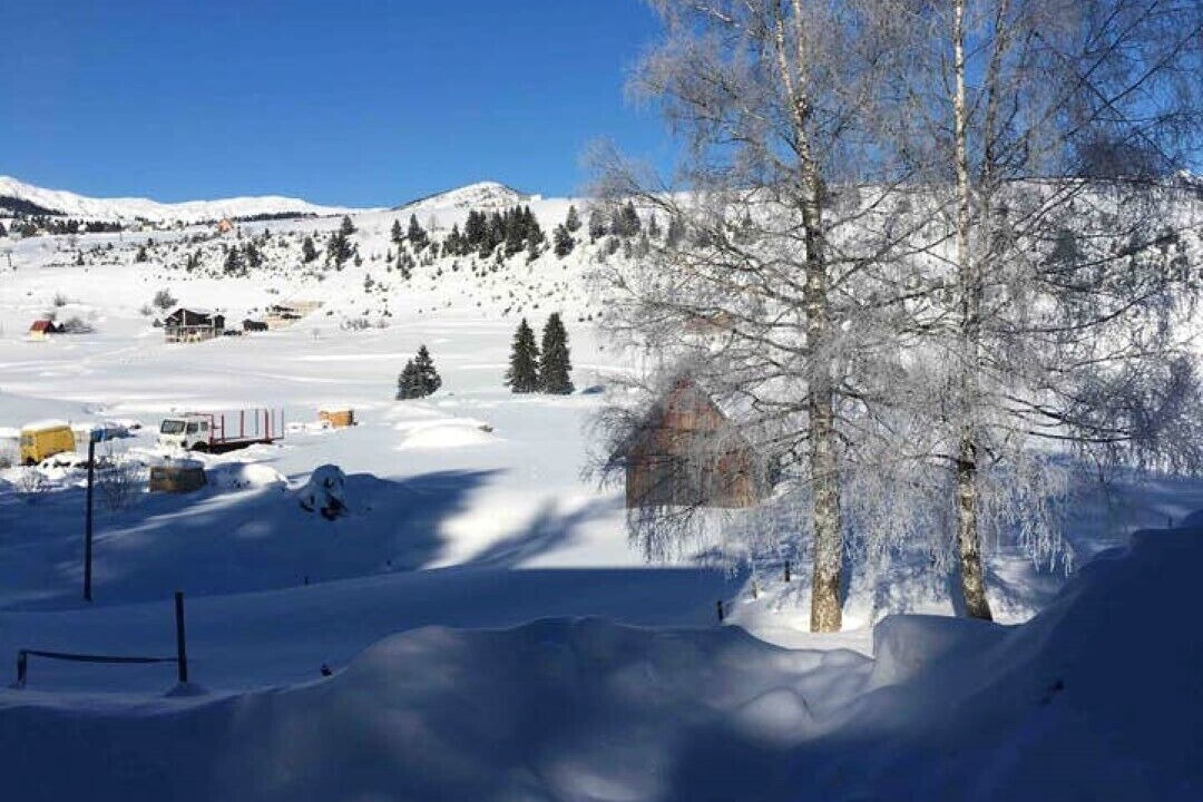 Photo of Others in Zabljak