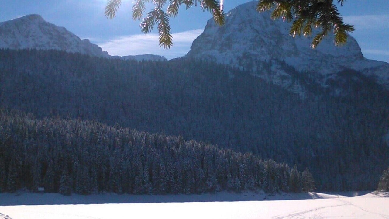 Photo of Others in Zabljak