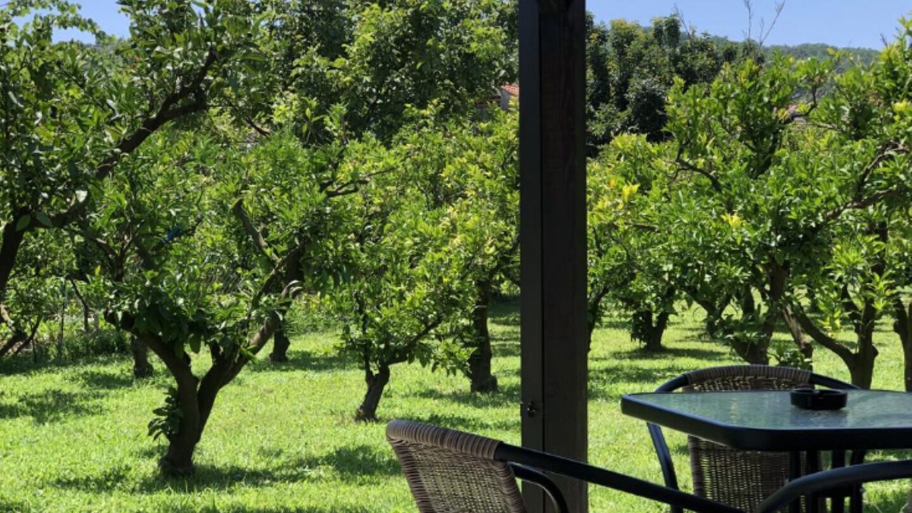 Photo of Outdoor in Ulcinj