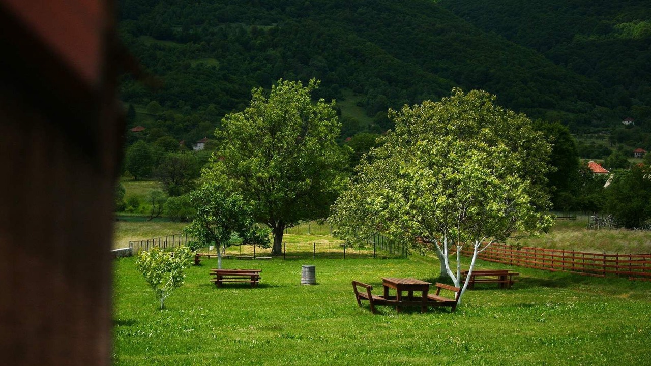 Photo of Others in Plav