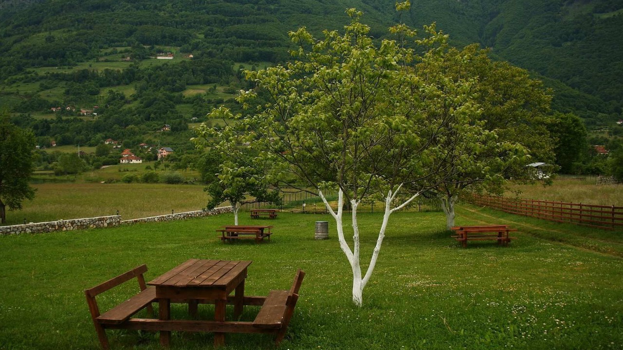 Photo of Others in Plav