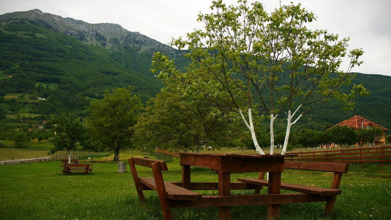 Photo of Others in Plav