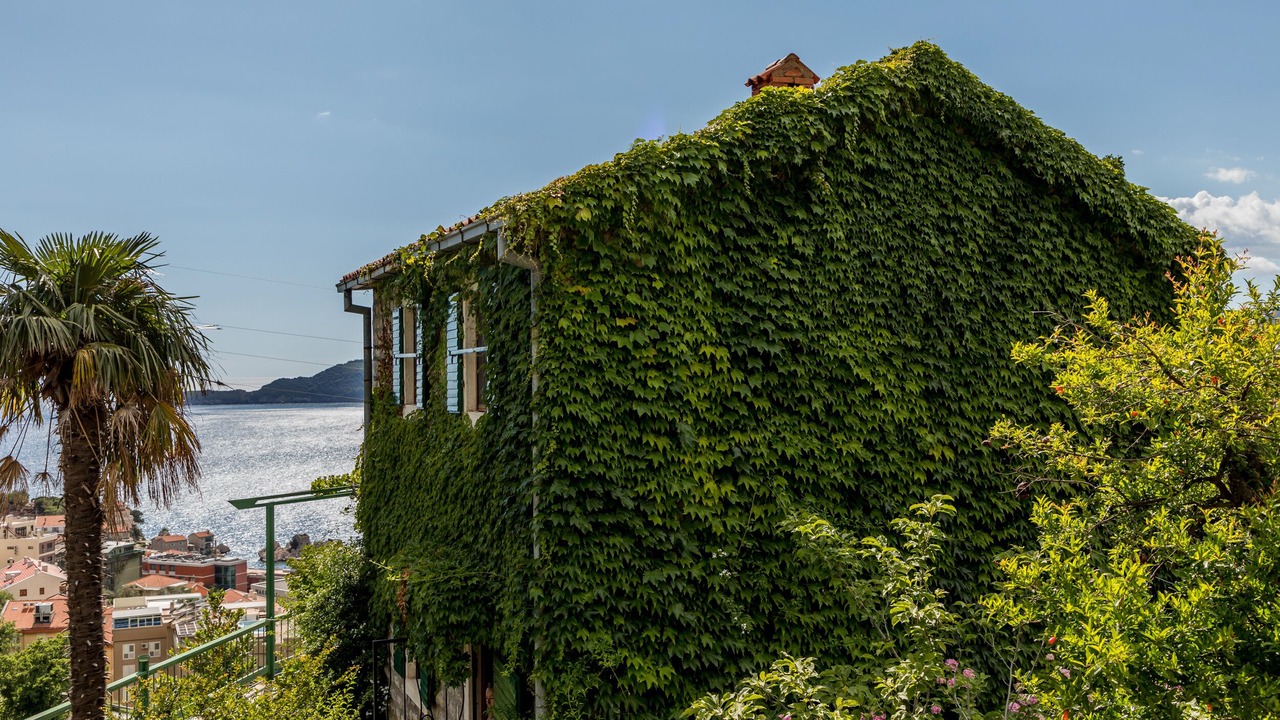 Photo of Outdoor in Przno