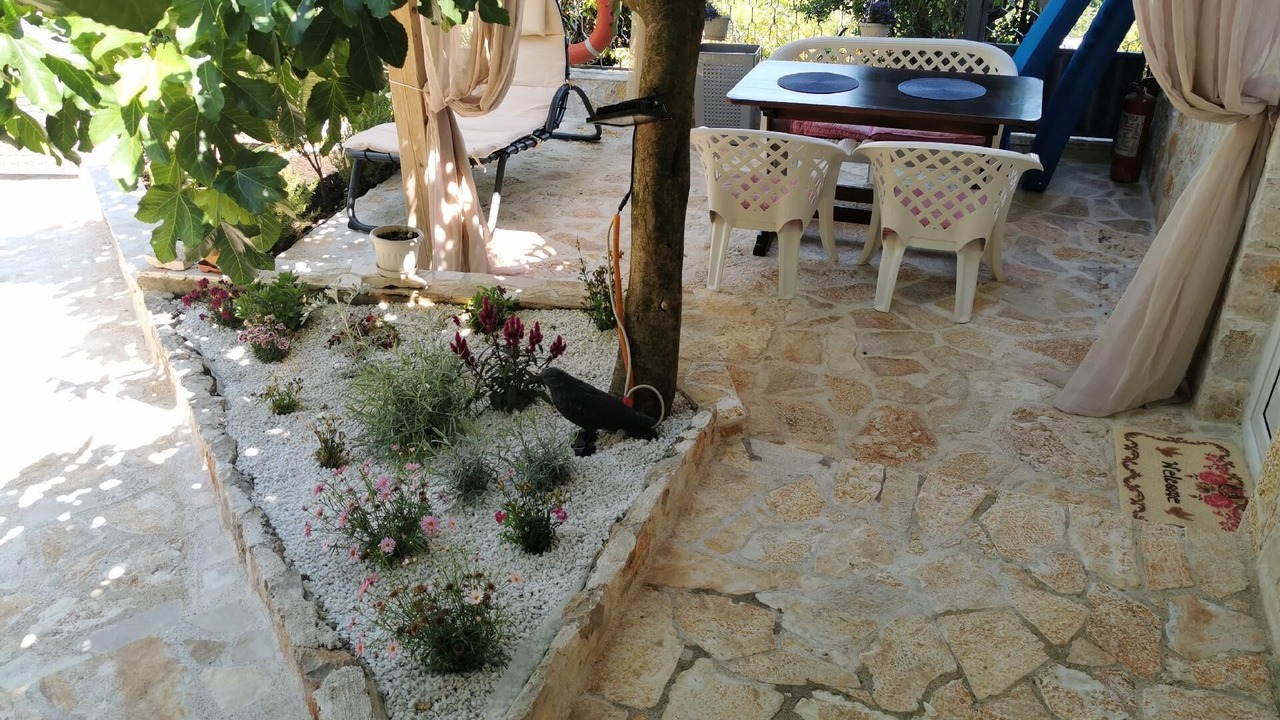 Photo of Outdoor in Utjeha