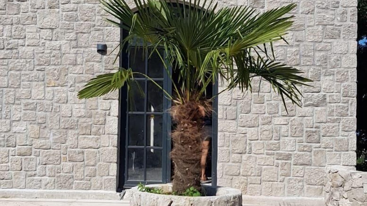 Photo of Outdoor in Klinci
