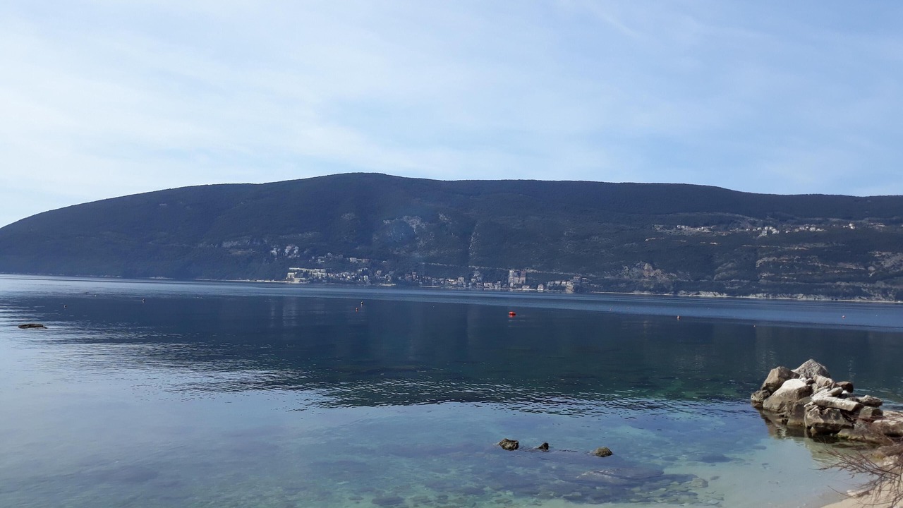 Photo of Others in Topla