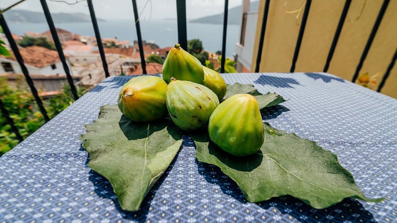 Photo of Others in Herceg Novi