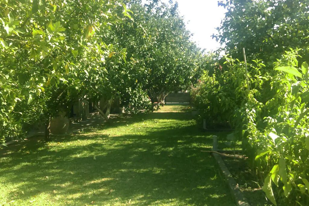 Photo of Outdoor in Kriopigi