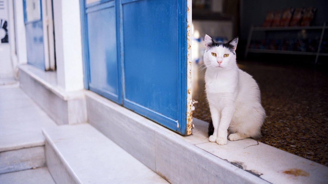 Photo of Others in Naousa