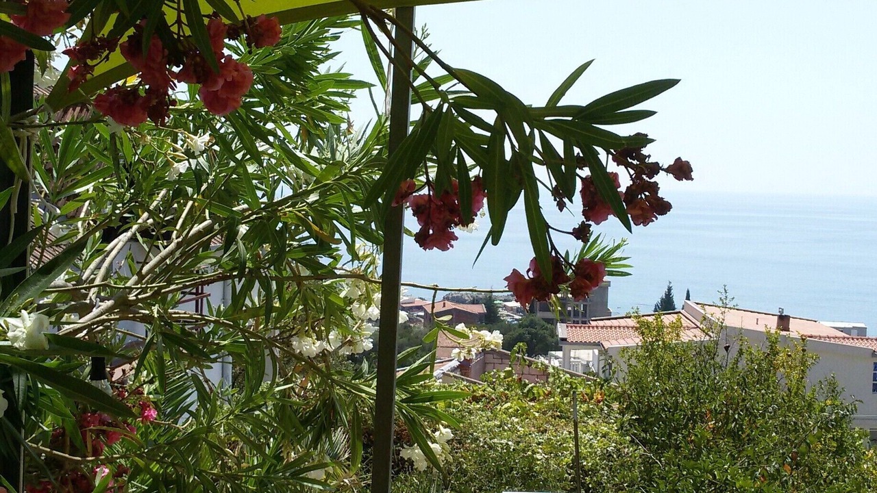 Photo of Patio Balcony in Dobra Voda