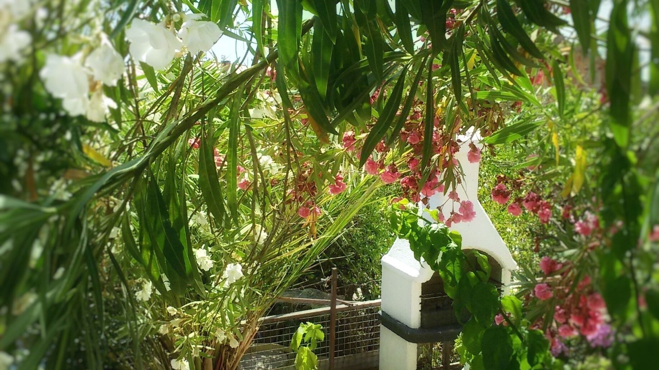 Photo of Outdoor in Dobra Voda