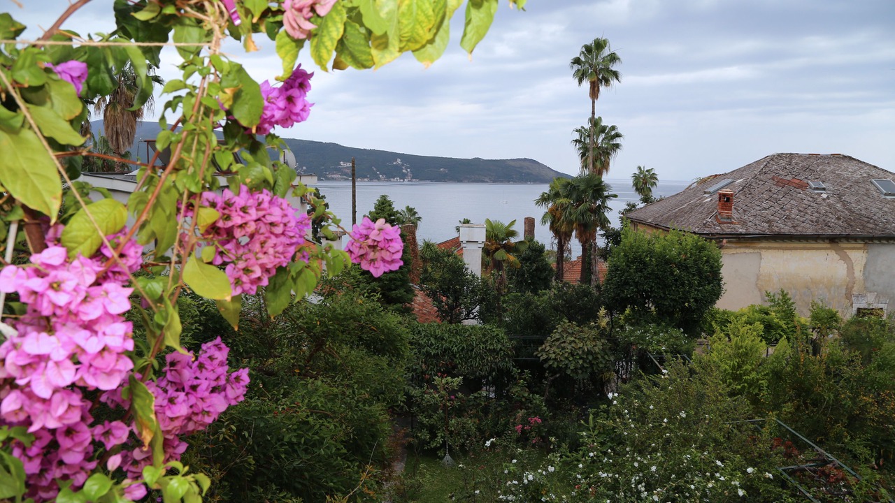 Photo of Others in Herceg Novi