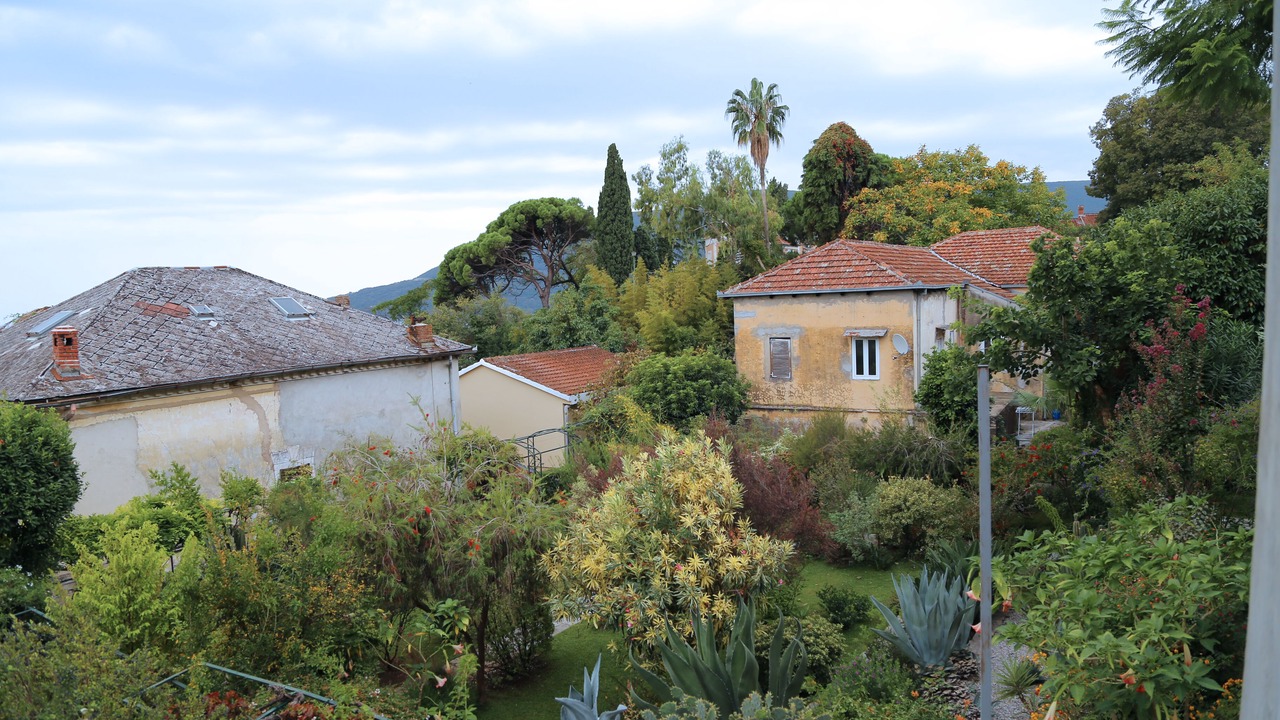 Photo of Outdoor in Herceg Novi