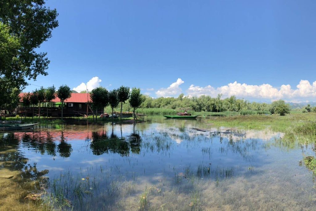 Photo of Outdoor in Dodosi