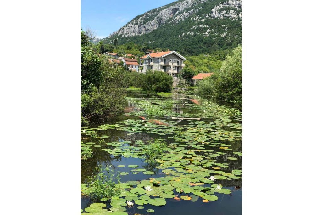 Photo of Outdoor in Dodosi