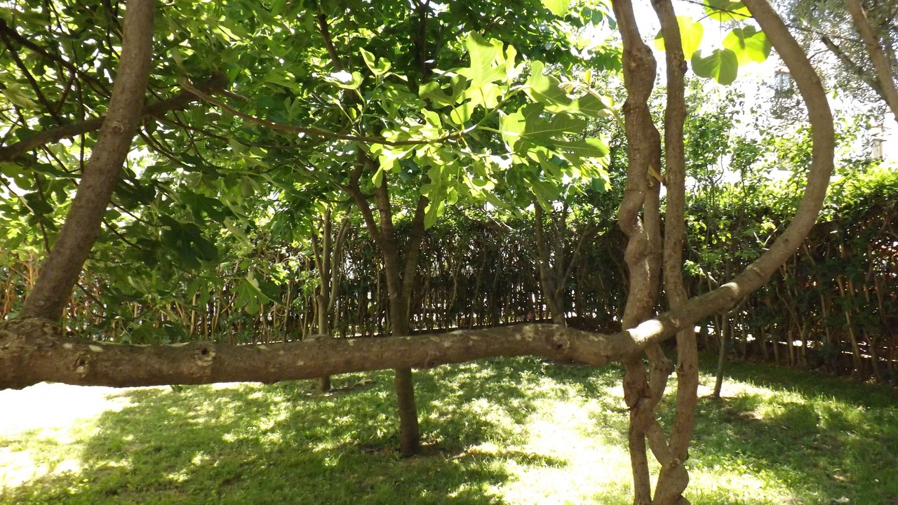 Photo of Outdoor in Lazi