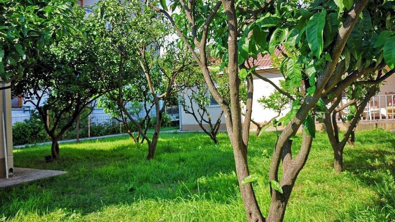 Photo of Outdoor in Zeljeznica