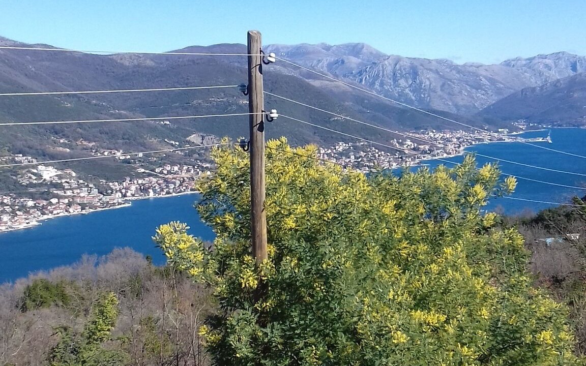 Photo of Others in Klinci
