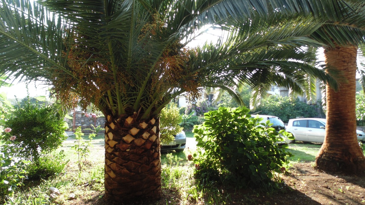 Photo of Outdoor in Bar