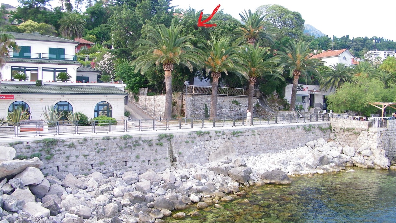 Photo of Outdoor in Herceg Novi