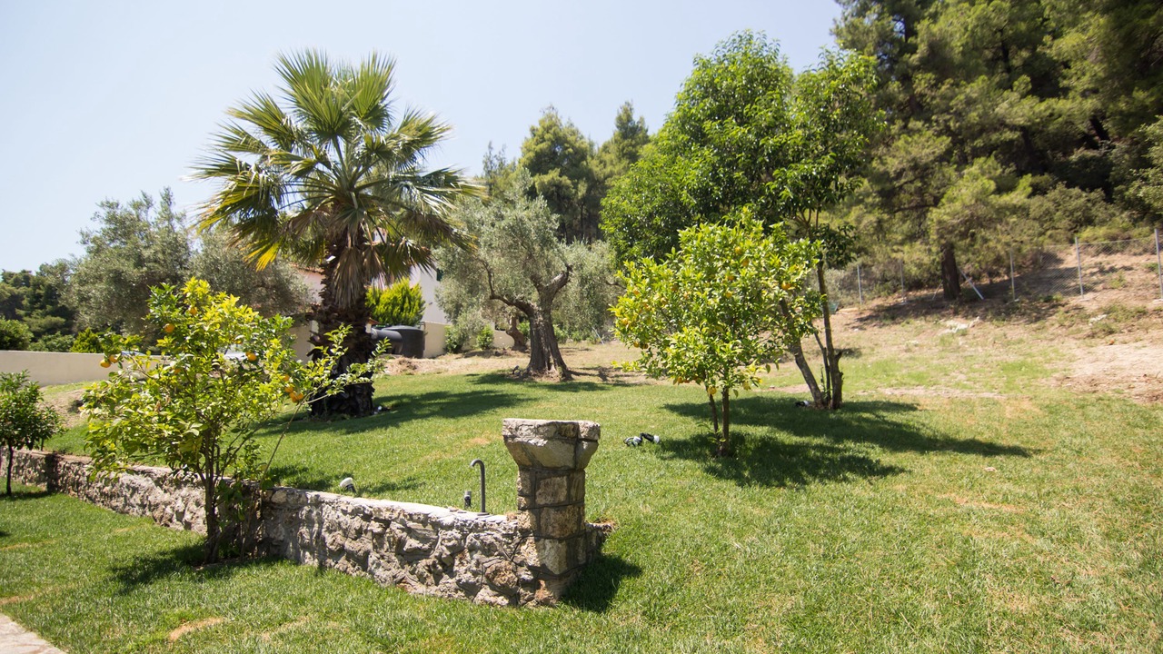 Photo of Outdoor in Paliouri