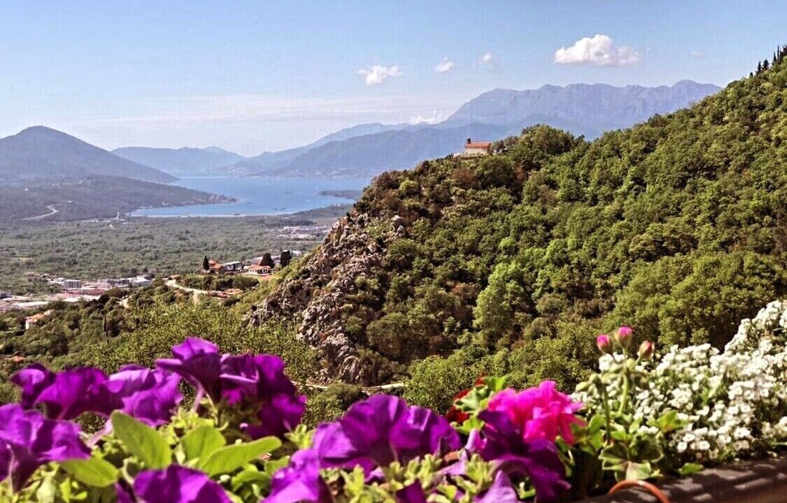 Photo of Others in Radanovici