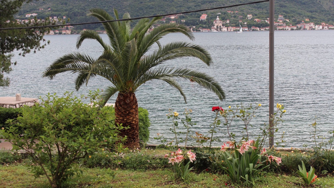 Photo of Others in Dobrota