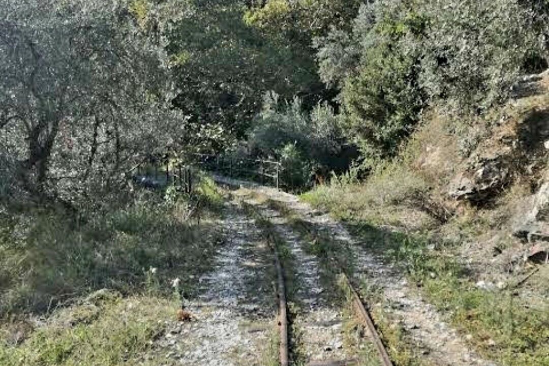 Photo of Others in South Pelion
