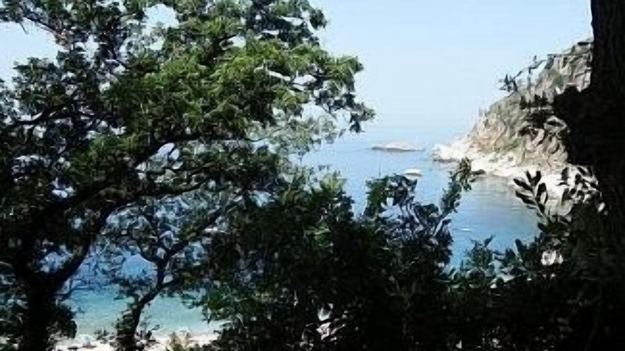 Photo of Others in Petrovac