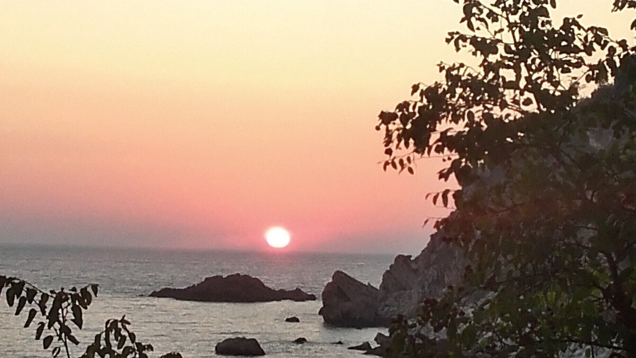 Photo of Others in Petrovac