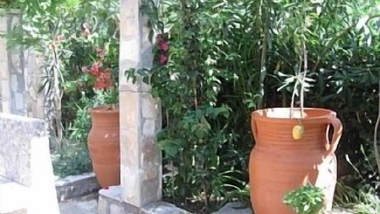 Photo of Outdoor in Petrovac