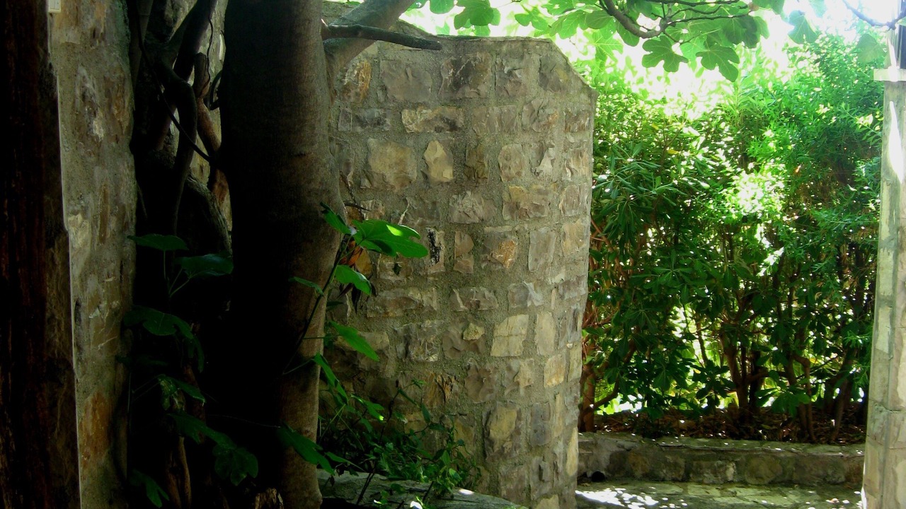 Photo of Outdoor in Petrovac