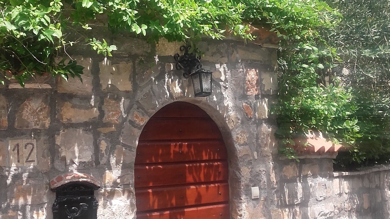 Photo of Outdoor in Petrovac