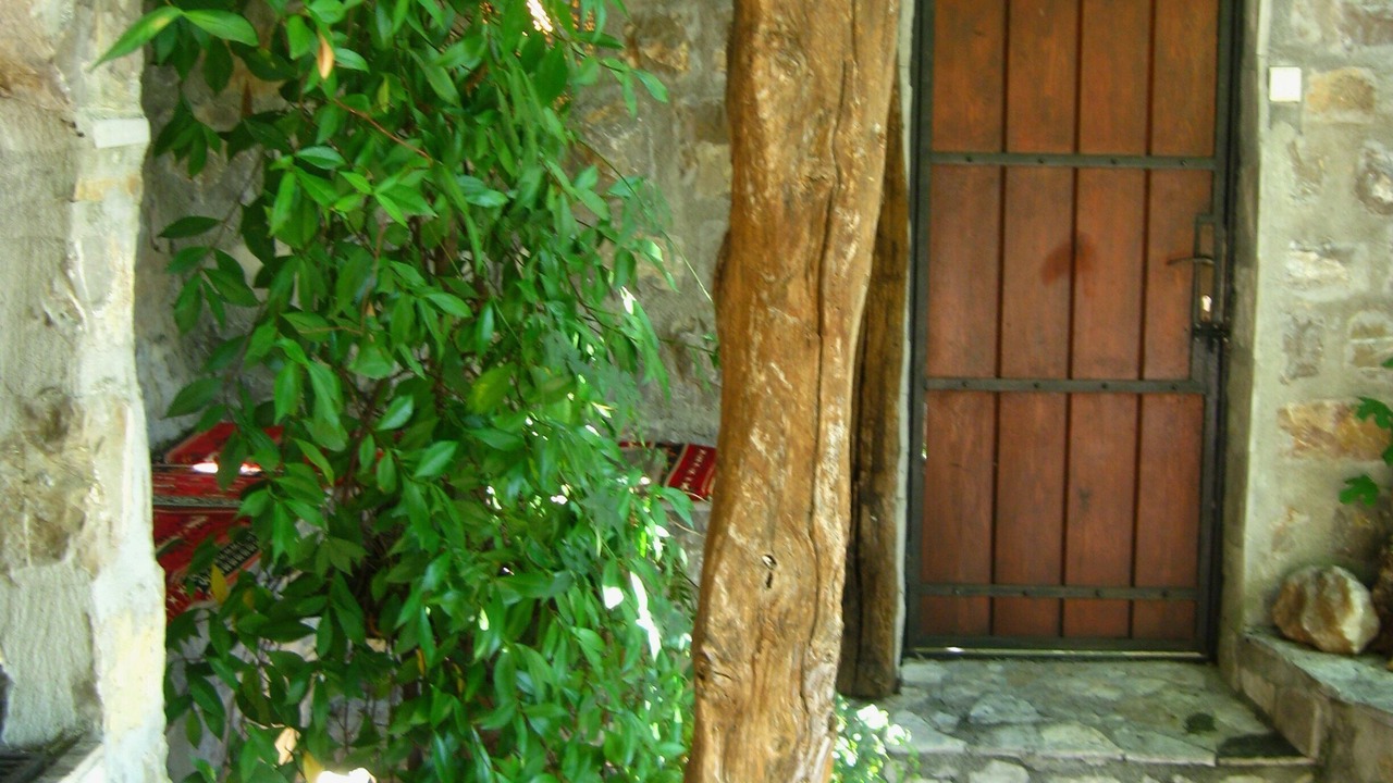Photo of Outdoor in Petrovac