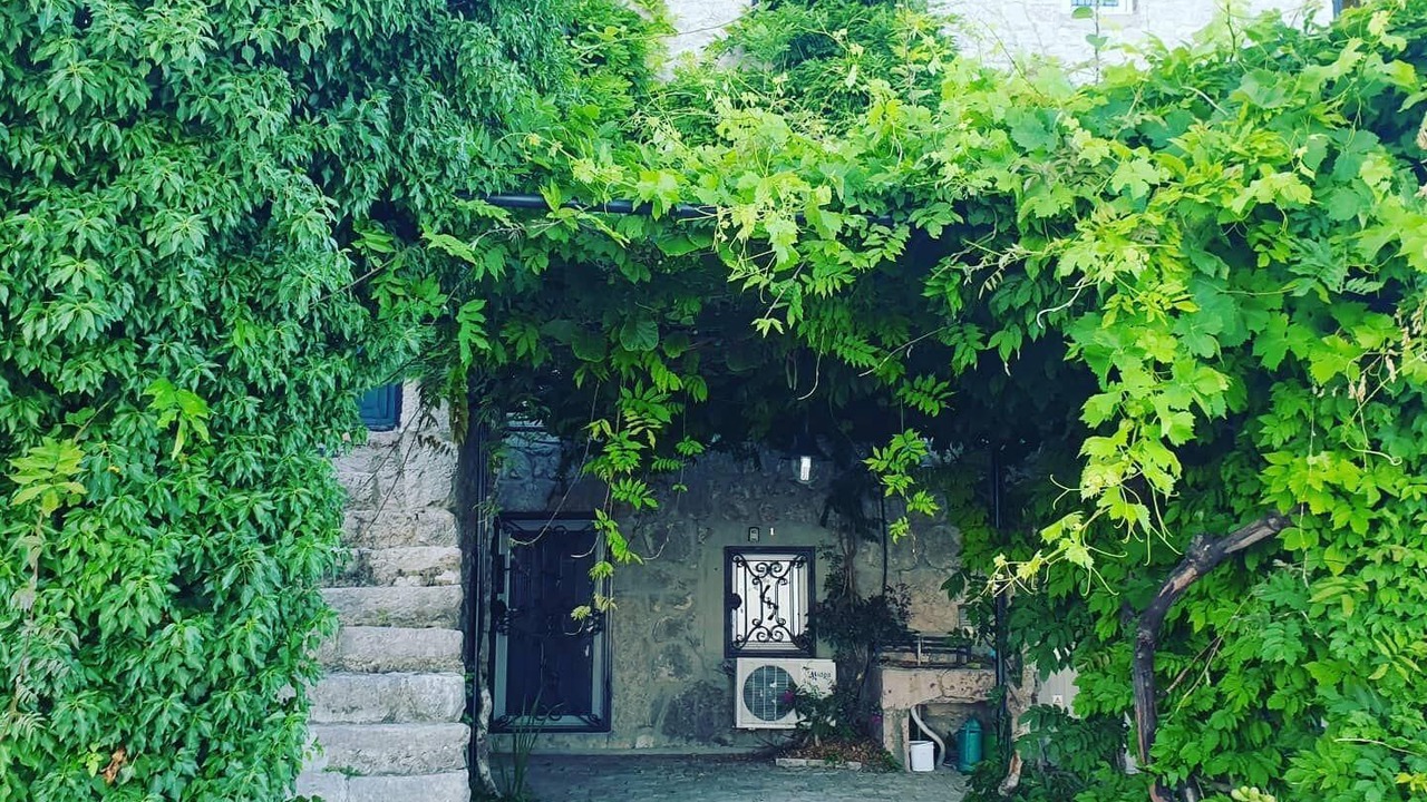 Photo of Outdoor in Lapcici