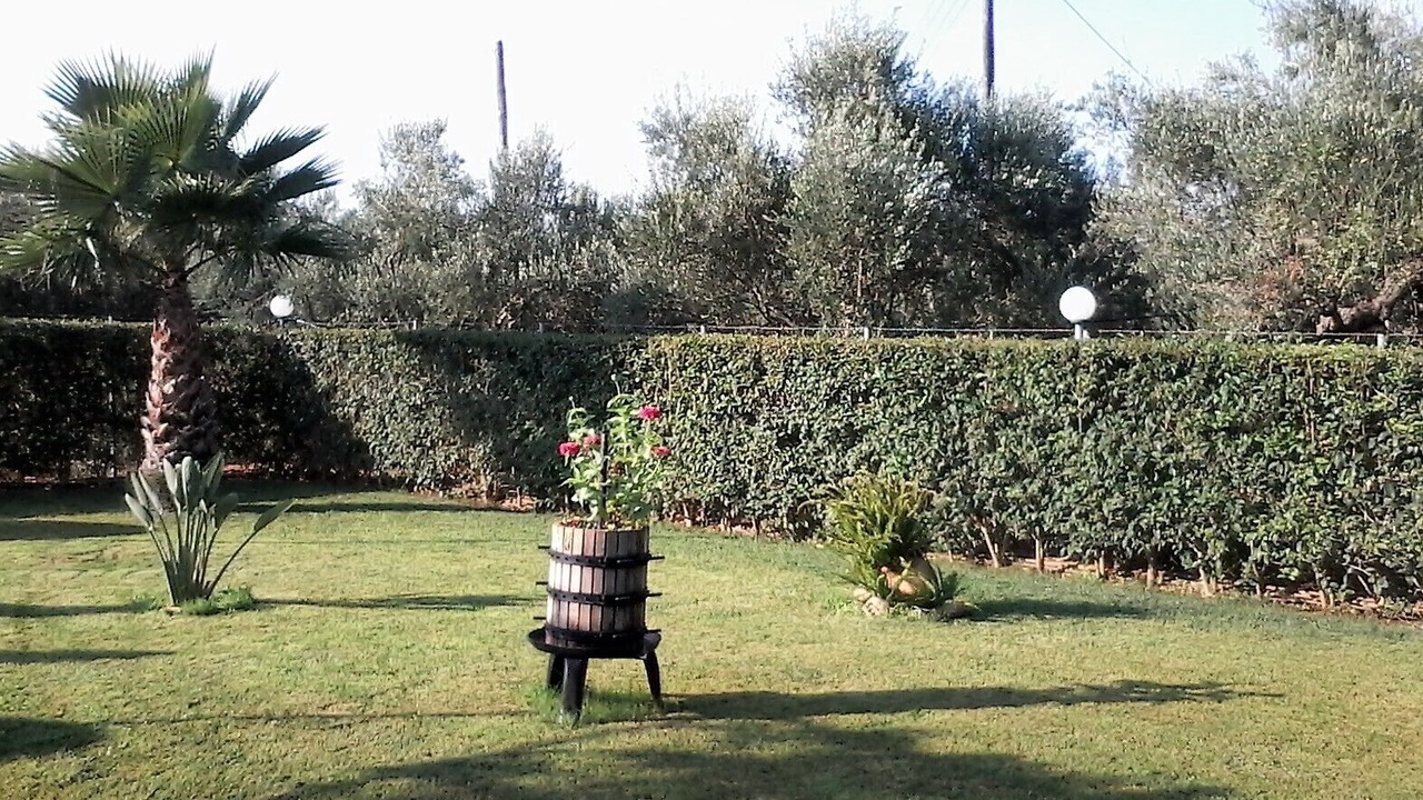 Photo of Outdoor in Vromonerion