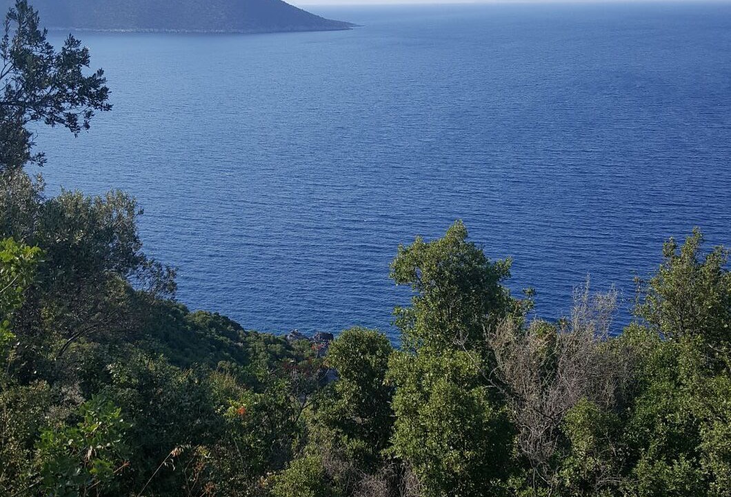 Photo of Others in Livadi