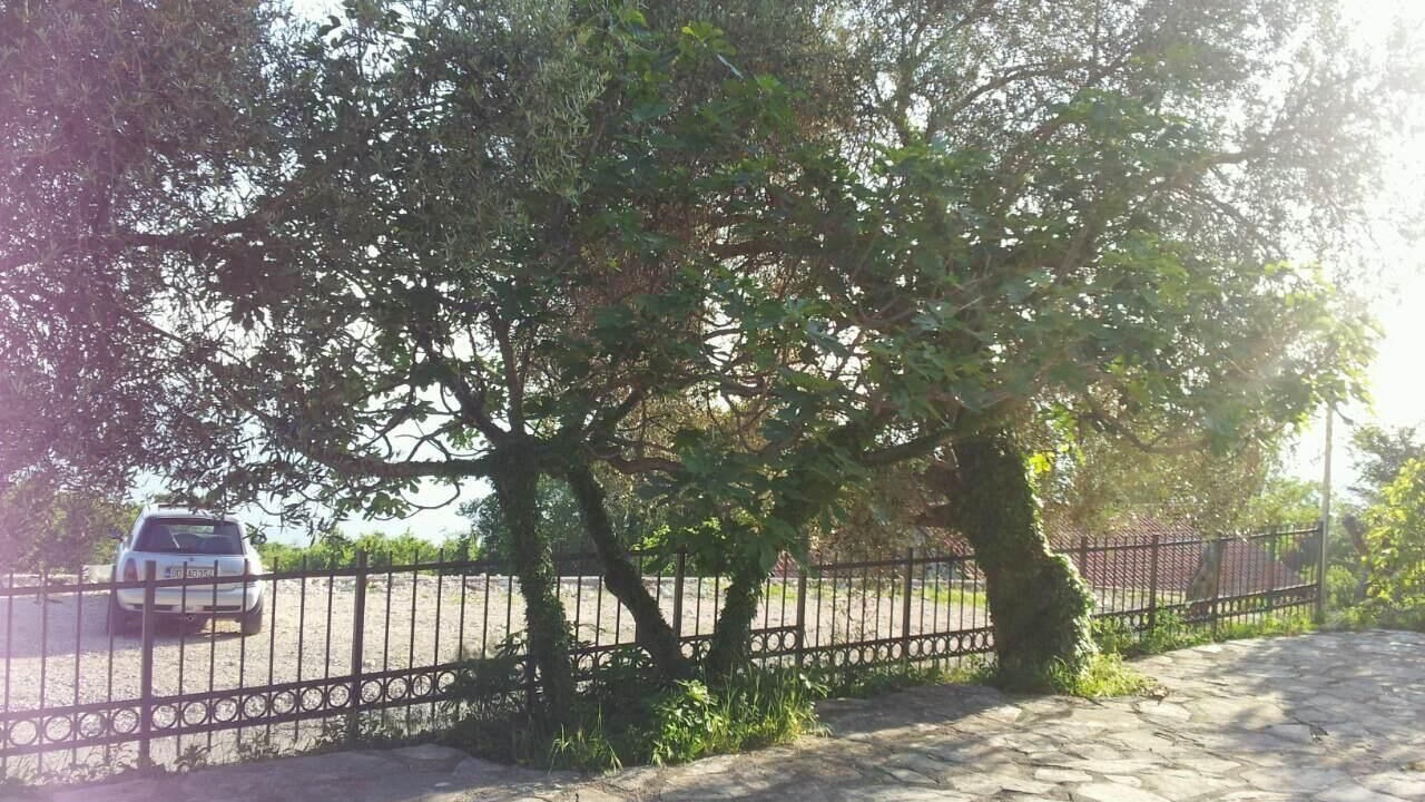 Photo of Outdoor in Kuljace