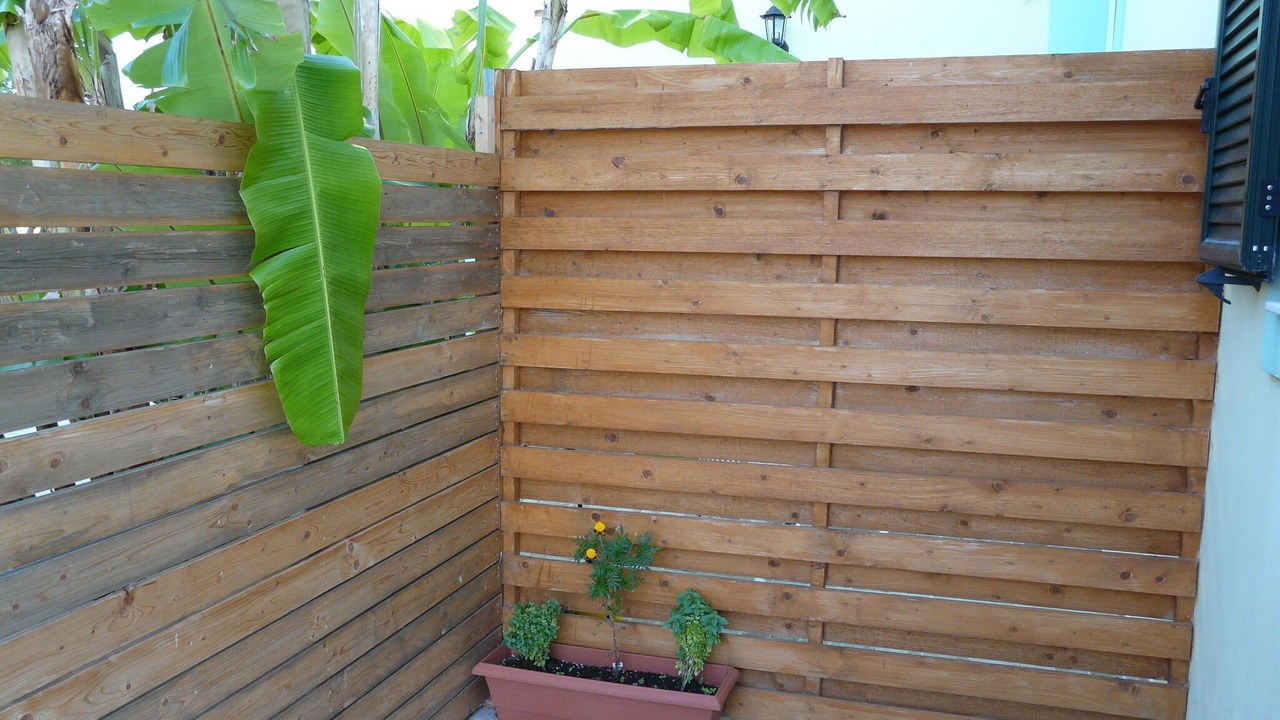 Photo of Outdoor in Paliki