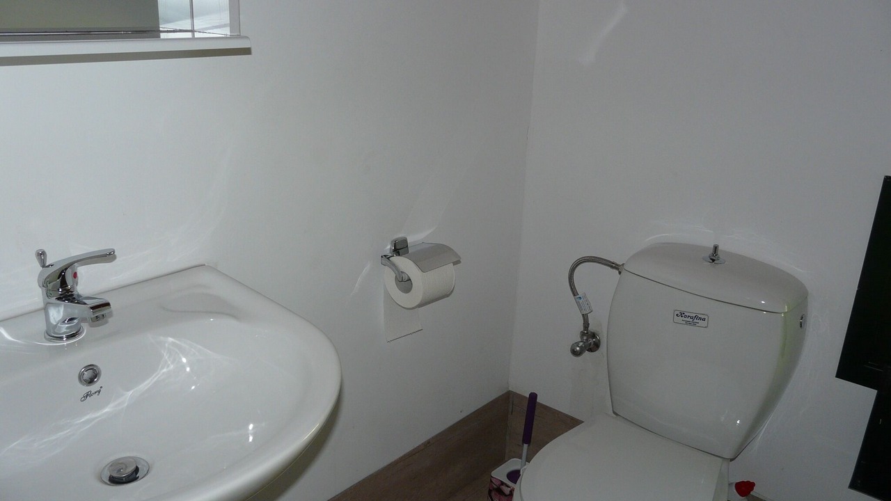 Photo of Bathroom in Paliki