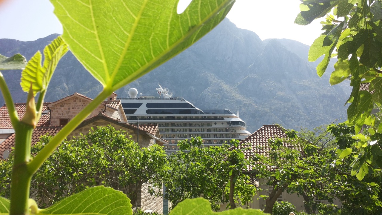 Photo of Outdoor in Kotor