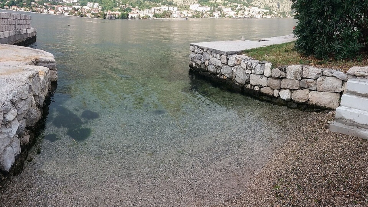 Photo of Others in Kotor