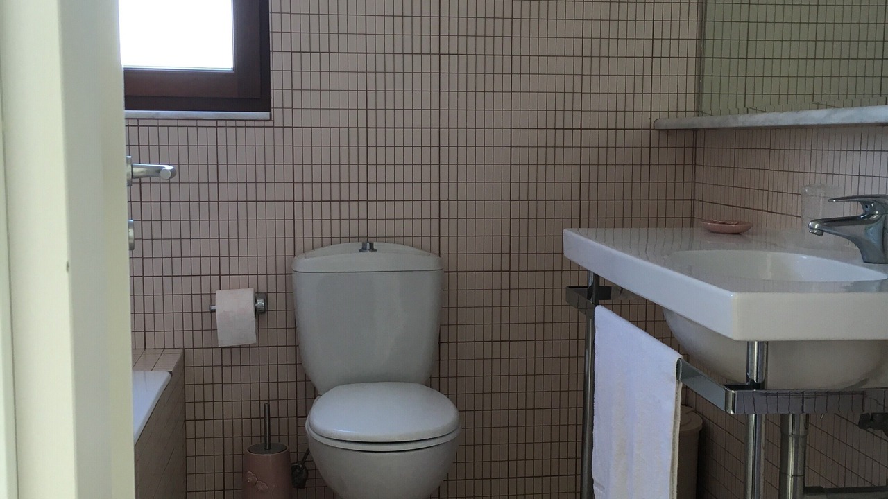 Photo of Bathroom in Lardos