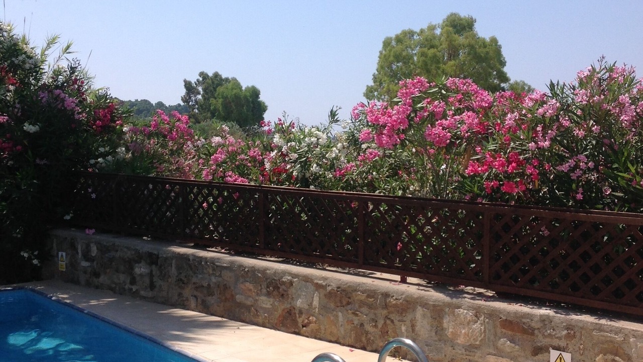 Photo of Outdoor in Lardos