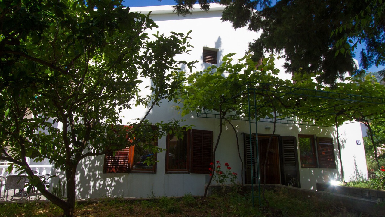 Photo of Outdoor in Petrovac