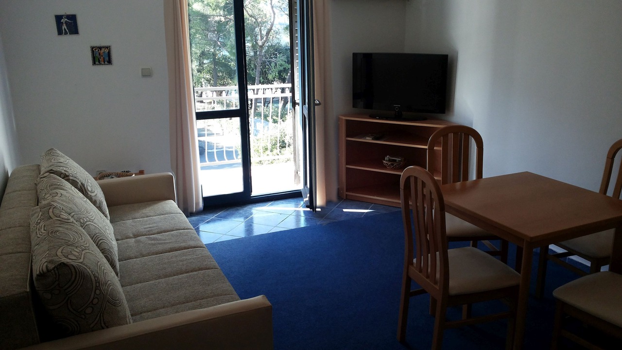 Photo of Livingroom in Kotor
