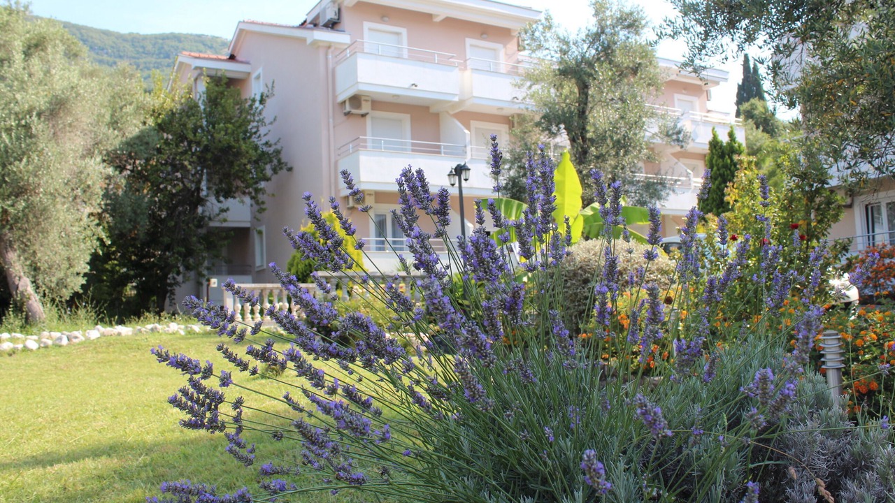 Photo of Outdoor in Denovici