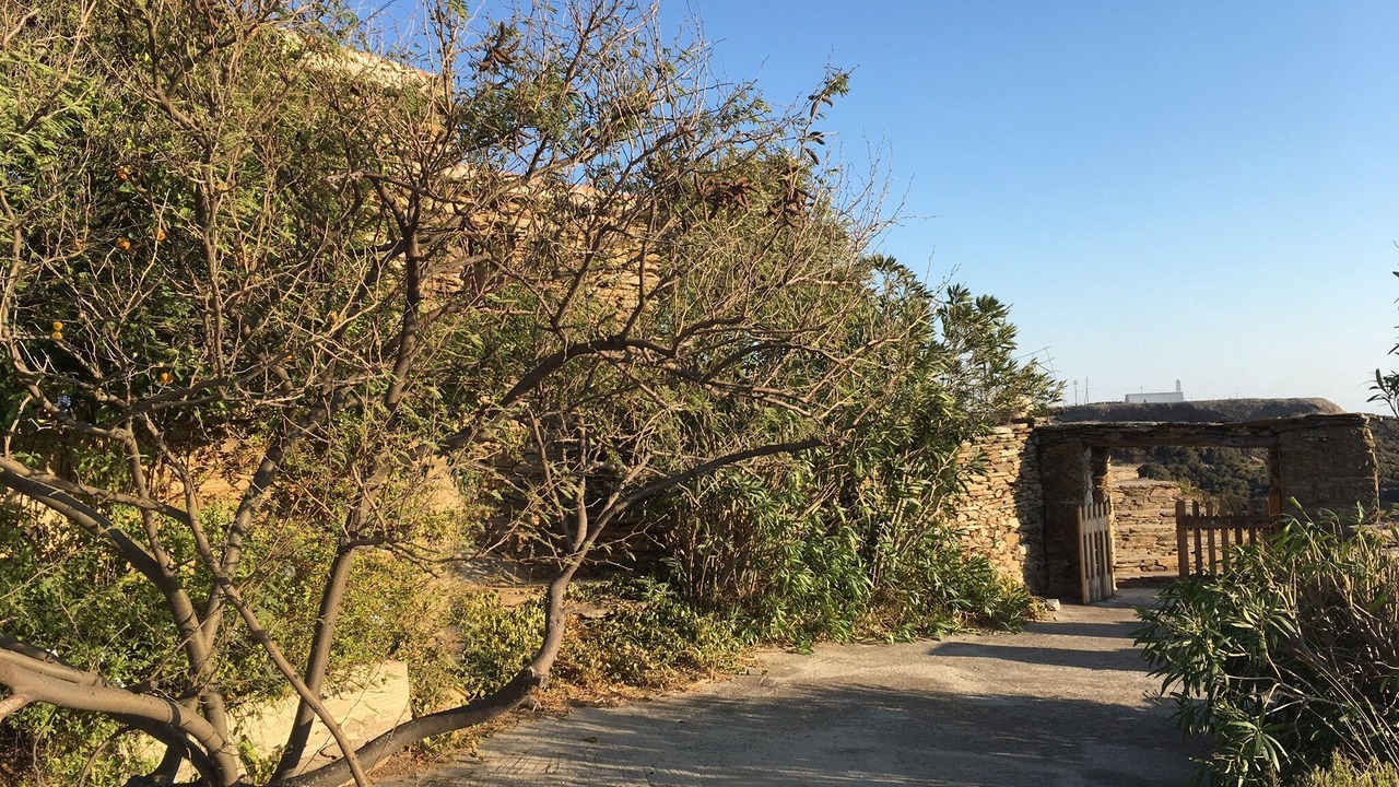 Photo of Others in Ydrousa